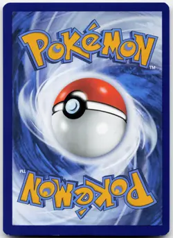Quaquaval (Prerelease) 005 Holo Promo Scarlet & Violet Promo Pokemon LP - Image 2