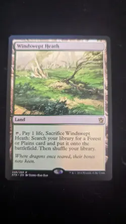 Magic the Gathering - Windswept Heath - Khans of Tarkir - Near Mint - Image 1