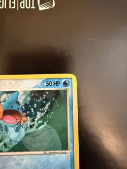 Mudkip - 11/17 - Holo - POP Series 4 - Pokemon Card LP - Image 2