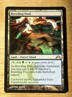 MTG Magic the Gathering Breeding Pool (240/257) Gatecrash NM - Image 1