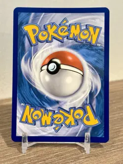 Eevee NM SVP173 Scarlet & Violet Promo 173 Pokemon TCG Holo - Image 2