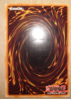 YUGIOH DARKLORD ZERATO SECRET RARE PTDN-EN081 1ST EDITION - Image 2