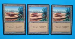 Magic MTG FBB JAPANESE OASIS X 3 LP/EX U 4th Edition 1996 Nice!! - Image 1