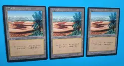 Magic MTG FBB JAPANESE OASIS X 3 LP/EX U 4th Edition 1996 Nice!! - Image 2