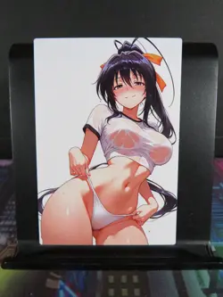 Akeno Himejima High School DxD Custom Art Card NM Anime Sexy Waifu Collectible - Image 1