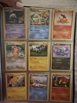 Pokemon Card Binder Lot – Black & White Era, Eeveelutions, Starters - Image 4