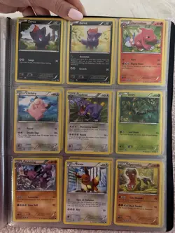 Pokemon Card Binder Lot – Black & White Era, Eeveelutions, Starters - Image 5