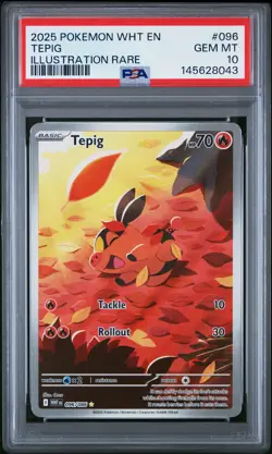 2025 POKEMON WHT EN-WHITE FLARE ILLUSTRATION RARE #096 TEPIG PSA 10 - Image 1
