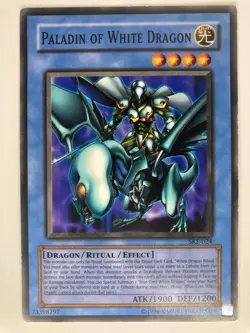 Paladin of White Dragon - SKE-024 - Common - Unlimited - Image 1