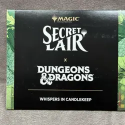 MTG Secret Lair x Dungeons & Dragons Whispers in Candlekeep Non-Foil SLD SEALED - Image 3