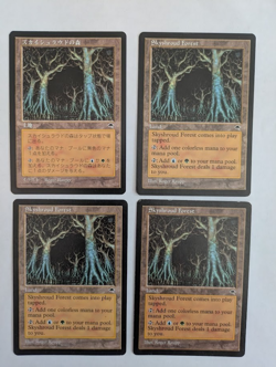 4 Skyshroud Forest Tempest MTG Exc Free shipping with tracking - Image 1