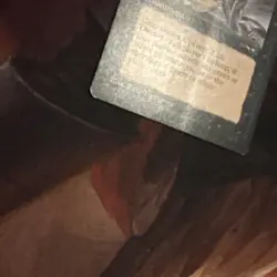 Dystopia X1 Mtg Alliances Hp - Image 4