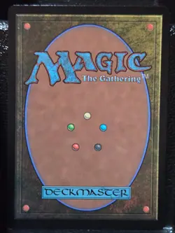 Shivan Reef 255 Rare Dominaria United Magic: The Gathering Foil Near Mint - Image 2