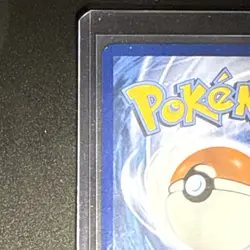 Pokemon Palpitoad 104/086 Sv: Black Bolt Illustration Rare Holo Stage 1 90 HP - Image 5