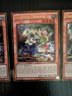 Yugioh Traptrix Dionaea x3 Set + Bonus Traptrix - Gold Rare - Premium Gold NM - Image 4