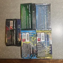 Pokemon Generation Pack Art, Plasma Storm, Next Destinies, Charizard, No Cards - Image 2