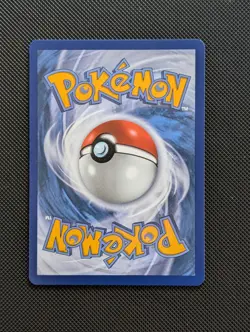 Litten - 044 First Partner Illustration Series 1 Promo Pokemon NM - Image 2