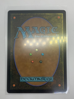 MTG Chocobo Knights #0102 Rare Extended Borderless English Magic - Image 2