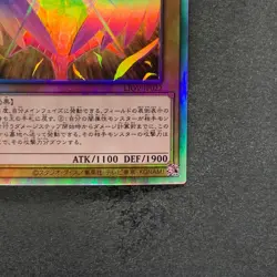 Dark Honest LIOV-JP022 Holographic Rare YuGiOh 320 - Image 5