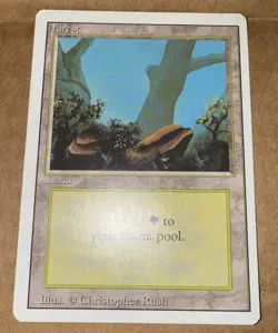 5 MTG Forest (A) - Rocks, NM-Mint, English Revised Edition - Image 2