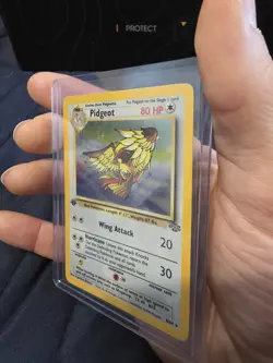 Pokemon Jungle Pidgeot 1st Edition Holo Rare 8/64 1999 WOTC LP/NM - Image 2