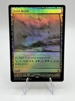 Foil Fetid Heath Expedition Land - Magic the Gathering - Zendikar Expeditions - Image 1