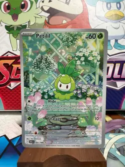 Petilil 091/086 Illustration Rare - Black Bolt English - Pokemon TCG -SHIPS FAST - Image 1