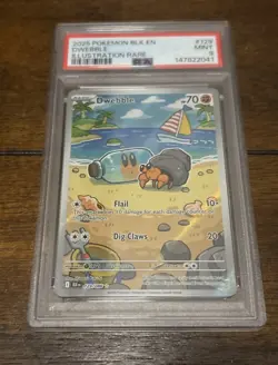 Pokemon TCG 2025 Dwebble 129/086 Sv: Black Bolt Holo Pokemon PSA 9 - Image 1