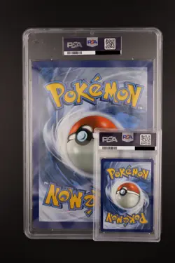 2023 POKEMON SVP EN-SV BLACK STAR PROMO ZAPDOS EX BOX #049 JUMBO PSA 10 POP 48 - Image 3