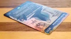 1x Wan Shi Tong, Librarian, Borderless Art Foil, Avatar Magic MTG NM - Image 5