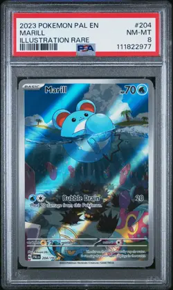 2023 POKEMON PAL EN-PALDEA EVOLVED ILLUSTRATION RARE #204 MARILL PSA 8 - Image 1
