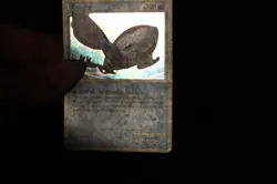 Pokemon Card MP Holo Rare Kyogre 12/95 Call of Legends - Image 5