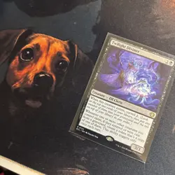 Mtg Twilight Diviner - Lorwyn Eclipsed + Bonus Foils - Image 1
