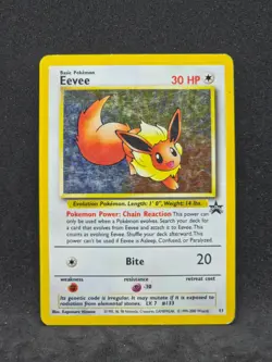 Pokemon Black Star Promo Eevee 11 (LP) - Image 1