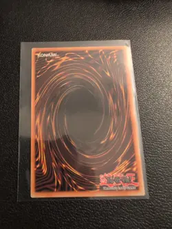 Red-Eyes Black Dragon Ultra Rare Rarity Collection 5 RA05-EN086 NM Yu-Gi-Oh - Image 2
