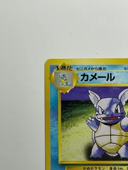 Japanese Pokemon Card Wartortle No Rarity Base Set Old Back No.008 - Image 5