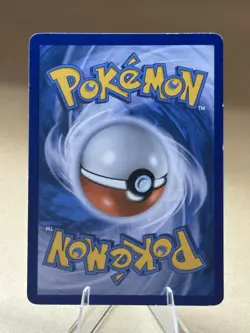 Eevee BW94 Black & White Promo Black Star 2013 Holo Pokemon TCG LP - Image 5