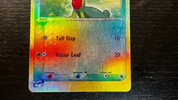 POKEMON TCG - EX RUBY & SAPPHIRE Treecko 76/109 Reverse Holo LP / MP - Image 3