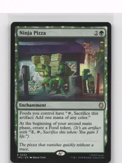 Ninja Pizza Commander: Teenage Mutant Ninja Turtles Regular - Image 1