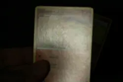 Pokemon Card Lot PL-MP Non-Foil & Cosmos Holo Promo Chimchar Diamond & Pearl - Image 4