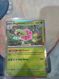 Meganium - 001 Promo ME: Mega Evolution Promo Pokemon NM - Image 3