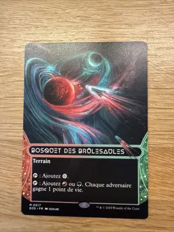 MTG EOS Borderless Stellar Sights 17 - Grove of the Burnwillows FR - NM French - Image 1