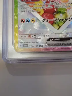 Pokemon TCG-Terastal Fest Ex: Eevee Ex (224/187) Special Holo- Pristine 10 CGC - Image 5