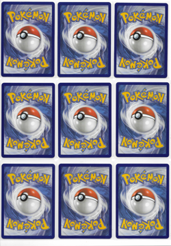 Pokemon First Partner Illustration Series 1 Promo 30th Anniversary Complete SET - Image 5