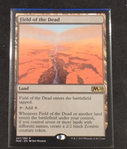 Wizards Field of the Dead Core Set 2020 Rare Land Regular 247/280 English - Image 1