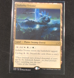 Wizards Indatha Triome Ikoria Rare Land 248/274 English - Image 1
