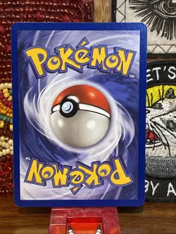 👑 King Kabuto 50/62 Fossil Rare NM+ 1st Edition Vintage Pokemon Card 1999 WOTC - Image 2