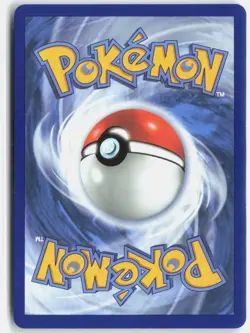 Squirtle - 039 039 Holo Promo ME: Mega Evolution Promo Pokemon Holo NM - Image 2