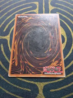 Treeborn Frog Yugioh FRENCH 1st Ed First Edition SOI-FR025 Rare Foil Holo - Image 4