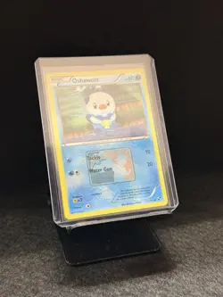 Oshawott - (League Promo) 027/114 League & Championship Cards Reverse Holo - Image 3